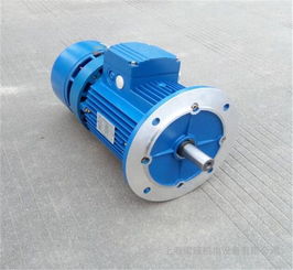 清華紫光BMA剎車電機(jī) 高清大圖與卓越性能解析（谷瀑環(huán)保推薦）